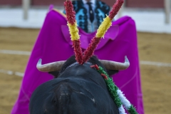 Ubeda: Feria de San Miguel
Alejandro Talavante