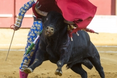 Ubeda: Feria de San Miguel
Alejandro Talavante