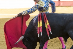 Ubeda: Feria de San Miguel
Alejandro Talavante