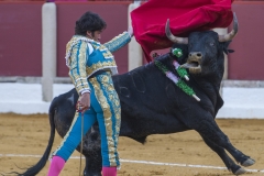 Ubeda: Feria de San Miguel
Cayetano Rivera Ordóñez  "Cayetano"