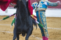 Ubeda: Feria de San Miguel
Cayetano Rivera Ordóñez  "Cayetano"