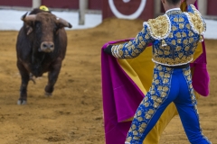 Ubeda: Feria de San Miguel 
Alejandro Talavante