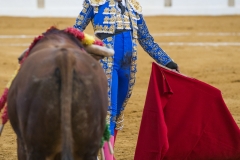 Ubeda: Feria de San Miguel 
Alejandro Talavante