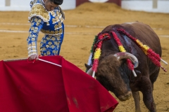 Ubeda: Feria de San Miguel 
Alejandro Talavante