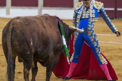 Ubeda: Feria de San Miguel 
Alejandro Talavante