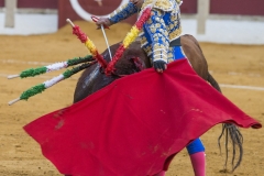 Ubeda: Feria de San Miguel 
Alejandro Talavante