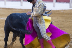 Ubeda/ Feria de San Miguel 2016: (Dimanche 02/10)
Ivan Fandino