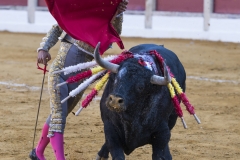 Ubeda/ Feria de San Miguel 2016: (Dimanche 02/10)
Ivan Fandino