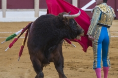 Ubeda/ Feria de San Miguel 2016: (Dimanche 02/10)
José Carlos Venegas