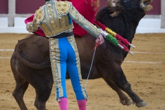 Ubeda/ Feria de San Miguel 2016: (Dimanche 02/10)
José Carlos Venegas