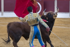 Ubeda/ Feria de San Miguel 2016: (Dimanche 02/10)
José Carlos Venegas