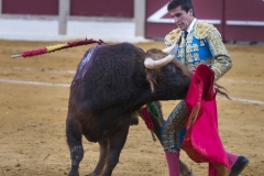 Ubeda/ Feria de San Miguel 2016: (Dimanche 02/10)
José Carlos Venegas