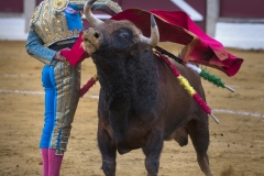 Ubeda/ Feria de San Miguel 2016: (Dimanche 02/10)
José Carlos Venegas