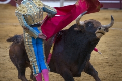 Ubeda/ Feria de San Miguel 2016: (Dimanche 02/10)
José Carlos Venegas