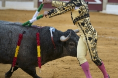 Ubeda/ Feria de San Miguel 2016: (Dimanche 02/10)
Eugenio De Mora