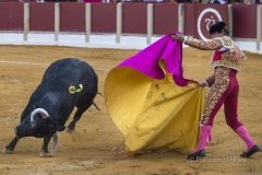 Ubeda/ Feria de San Miguel
Julian Lopez Escobar "El Juli"