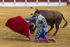 Ubeda: Feria de San Miguel 
Alejandro Talavante