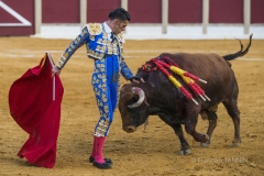 Ubeda: Feria de San Miguel 
Alejandro Talavante