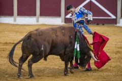 Ubeda: Feria de San Miguel 
Alejandro Talavante