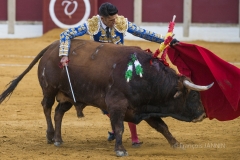 Ubeda: Feria de San Miguel 
Alejandro Talavante