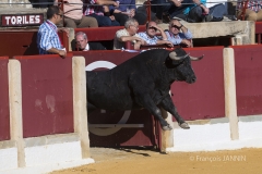 Ubeda/ Feria de San Miguel 2016: (Dimanche 02/10)
Eugenio De Mora