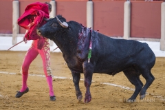 Ubeda/ Feria de San Miguel 2016: (Dimanche 02/10)
Eugenio De Mora