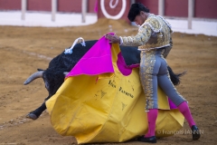 Ubeda/ Feria de San Miguel 2016: (Dimanche 02/10)
Ivan Fandiño