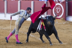 Ubeda/ Feria de San Miguel 2016: (Dimanche 02/10)
Ivan Fandiño