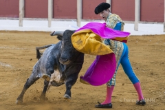 Ubeda/ Feria de San Miguel 2016: (Dimanche 02/10)
José Carlos Venegas