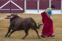 Ubeda/ Feria de San Miguel 2016: (Dimanche 02/10)
José Carlos Venegas