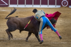 Ubeda/ Feria de San Miguel 2016: (Dimanche 02/10)
José Carlos Venegas