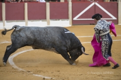 Ubeda/ Feria de San Miguel 2016: (Dimanche 02/10)
Eugenio De Mora