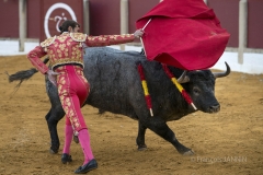 Ubeda/ Feria de San Miguel 2016: (Dimanche 02/10)
Eugenio De Mora