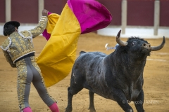 Ubeda/ Feria de San Miguel 2016: (Dimanche 02/10)
Ivan Fandiño