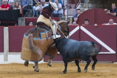 Ubeda/ Feria de San Miguel 2016: (Dimanche 02/10)
Ivan Fandiño