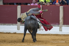 Ubeda/ Feria de San Miguel 2016: (Dimanche 02/10)
Ivan Fandiño