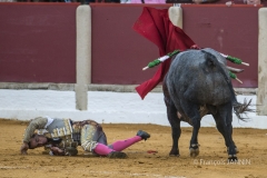 Ubeda/ Feria de San Miguel 2016: (Dimanche 02/10)
Ivan Fandiño