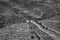 PORTUGAL: Vallée du Douro