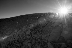 10/11/2015: Espagne-Andalousie - Sierra de Sagura - Casas de Carrasco (A317)