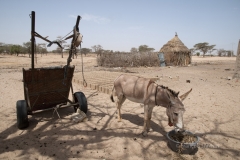 2009/05 SENEGAL