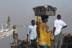 2009/05 SENEGAL