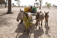 2009/05 SENEGAL